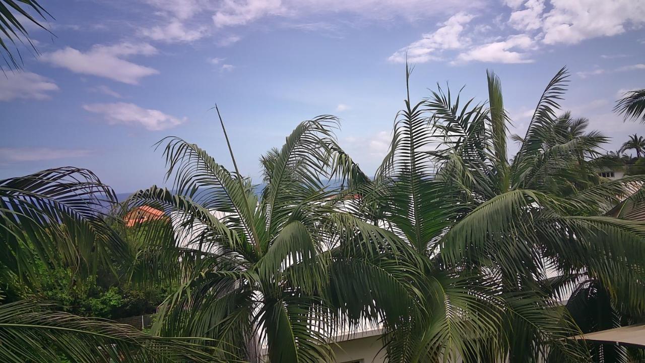 Un Petit Coin De Paradis A La Reunion 圣若瑟 外观 照片