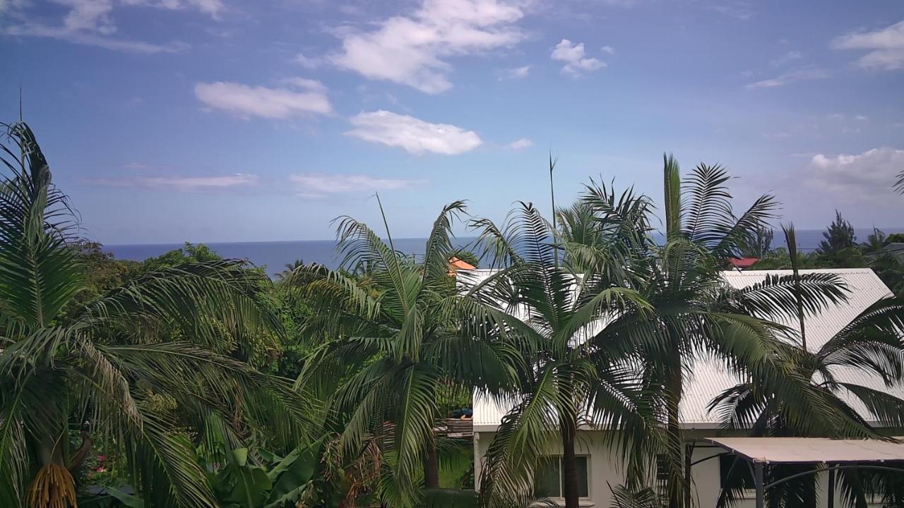 Un Petit Coin De Paradis A La Reunion 圣若瑟 外观 照片